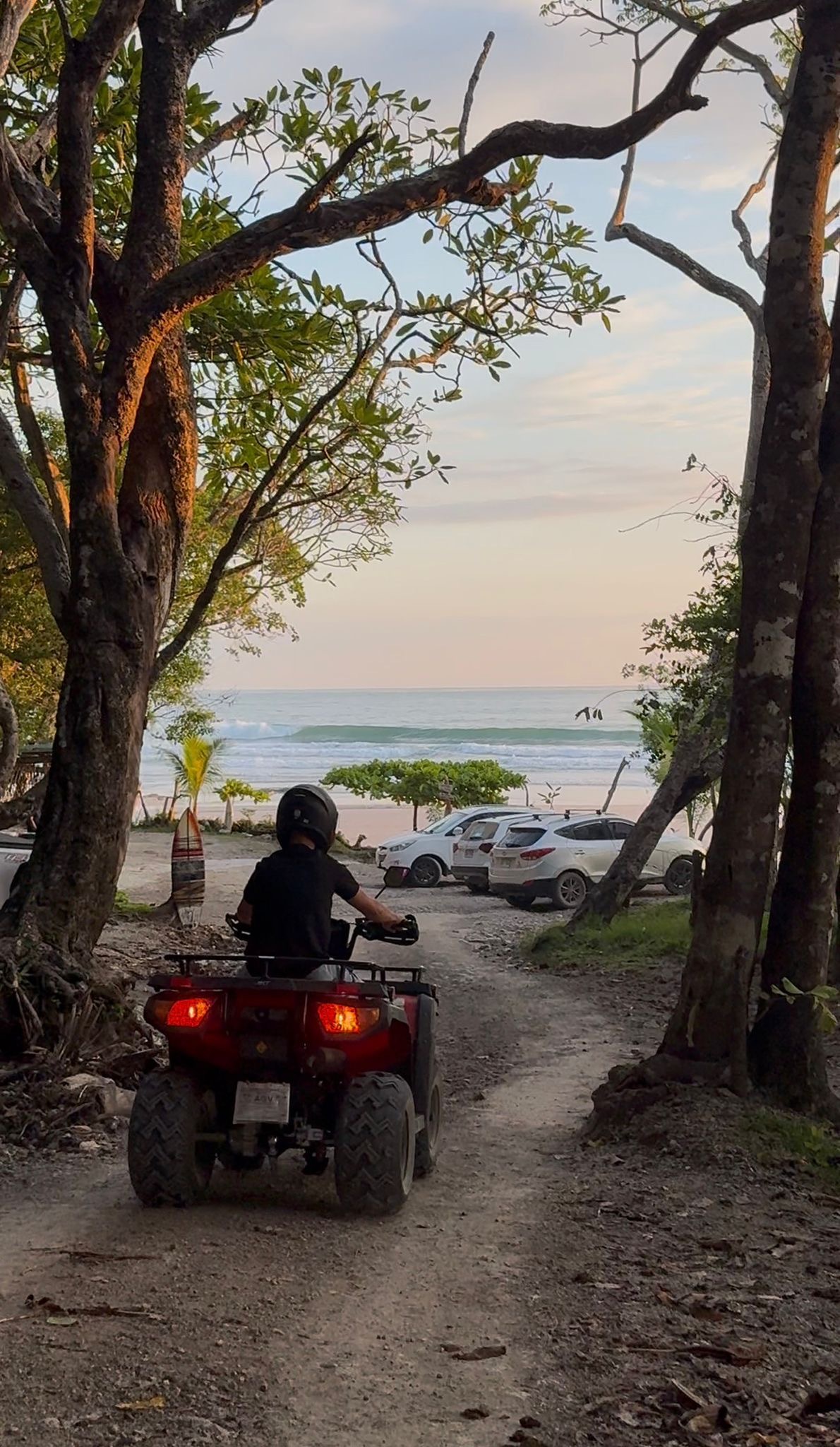 ATV Jungle